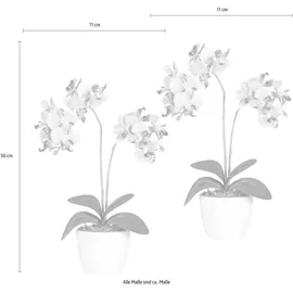 Creativ green Kunstpflanze Phalaenopsis Orchidee, Creativ green, Höhe 50 cm grün