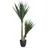 bümö Kunstpflanzen, Kunstpflanze Palmlilie Yucca (135 cm)