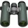 Swarovski Optik CL Companion 8 x 30 B grün + Northern Lights