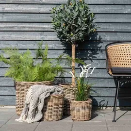 House Nordic Caor Aufbewahrungskorb 50 x 50 x 50 cm Braun
