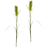 I GE A Kunstpflanze Pampas, I.GE.A. Höhe 125 cm, Pampasgras, Boho, 2er Set