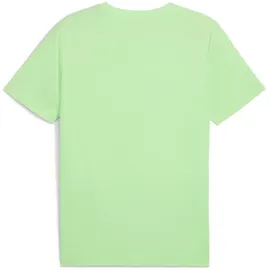 Puma Essentials No. 1 Logo T-Shirt Herren 49 spring fern M