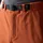 Dare 2b Tuned In Pro II Kurze Hose Arabian Spice 50