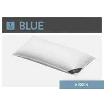 SPESSARTTRAUM 3-Kammer-Kopfkissen 40 x 80 cm Blau