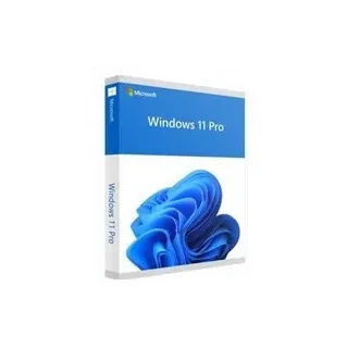 Microsoft Windows 11 Pro DVD DSP/SB