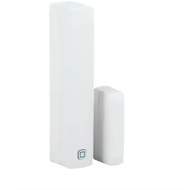 Homematic IP HmIP-SWDM-2 Fenster- und Türkontakt mit Magnet