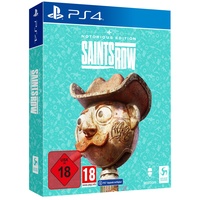 Deep Silver Saints Row Notorious Edition PlayStation 4