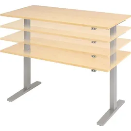 Hammerbacher elektrisch höhenverstellbarer Schreibtisch eiche rechteckig, C-Fuß-Gestell silber 160,0 x 80,0 cm