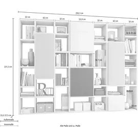 fif Möbel »TORO 521«, Breite 295 cm