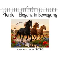 FlipFlop Pferde – Eleganz in Bewegung: Isabella Schmitz