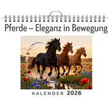 FlipFlop Pferde – Eleganz in Bewegung: Isabella Schmitz