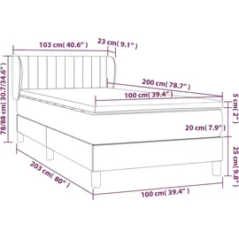 vidaXL Boxspringbett mit Matratze Dunkelbraun 100x200 cm Stoff - Braun
