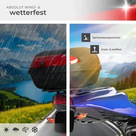 Tectake Motorradkoffer 48 l Schwarz