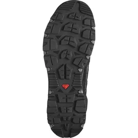 Salomon Techamphibian 5 Herren Black / Magnet / Monument 44