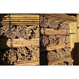 DIXIE STORE Bambusstangen Set Pflanzenstütze 100 Stück 120 cm 12/14 mm