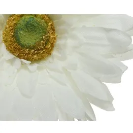 Decoris Gerbera Variante: Weiß