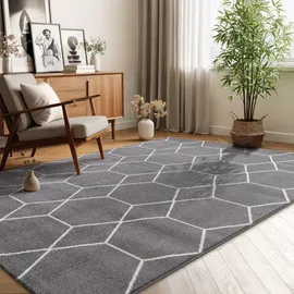 Sanat Trellis grau B/L: ca. 160x230 cm - Grau