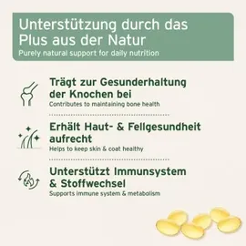 AniForte Lachsöl Kapseln 200 St.