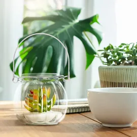 Relaxdays Windlicht 12er Set Glas Silber/Transparent