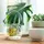 Relaxdays Windlicht 12er Set Glas Silber/Transparent