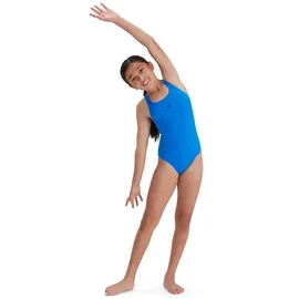 Speedo ECO Endurance+ Medalist Badeanzug Bondi Blue 15-16