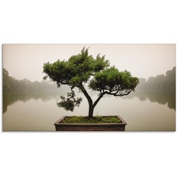 Glasbild ARTLAND "Chinesischer Bonsaibaum" Bilder Gr. B/H: 100 cm x 50 cm, grün Bilder