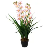 Kunstorchidee künstliche Orchidee Groß mit Kunstgras im Topf Zimmerpflanze Orchidee, Arnusa, Höhe 85 cm, wie echt real Touch beige|rosa