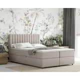 panda möbel Boxspringbett 140 x 200 cm Dunkelbeige