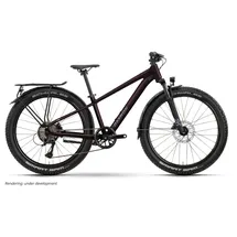 R Raymon Nayta 26 Pro Street 2026 26 Zoll RH 0 cm floridplum
