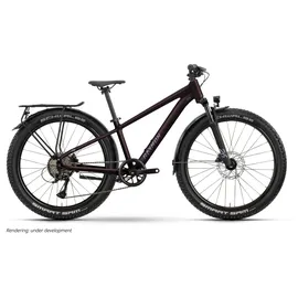 R Raymon Nayta 26 Pro Street 2026 26 Zoll RH 0 cm floridplum
