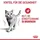 Royal Canin Light Weight Care in Soße 12 x 85 g
