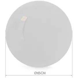Sitting Ball ALFA Schwarz 65 cm