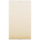 GARDINIA Plissee Concept Tageslicht, 100 x 130 cm