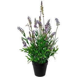 Kunstblume Lavendel im Topf Lavendel, Creativ green, Höhe 48 cm lila