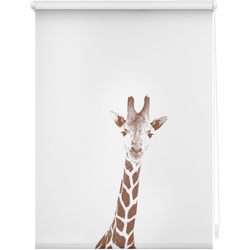 Lichtblick Rollo Klemmfix, ohne Bohren, Verdunkelung, Giraffe - Braun