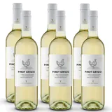Cramele Recas Recas Food Pairing Pinot Grigio (2024), Cramele Recas