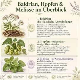 Vitalleben GUTE NACHT Baldrian Hopfen Melisse Kapseln 180 St.