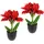 I.GE.A. Kunstblume I.GE.A. "Amaryllis im Topf", rot, B:17cm H:28cm L:14cm, Polyester, Kunstpflanzen, 2erSet Blume Weihnachtsblume Weihnachtsdeko Winterblume Floristik Deko