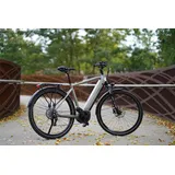 Prophete Trekking E-Bike Entdecker 4.0 Herren Moosgrau-Schwarz Mat 28 Zoll