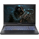 Captiva MSI Gaming GE66 Raider Laptop 39,6 cm (15.6") Full HD Intel® CoreTM i7 16 GB DDR4-SDRAM TB SSD NVIDIA® GeForce RTX 4050 Wi-Fi 6 (802.11ax) Windows 10 Home Schwarz