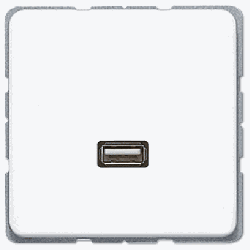 Jung Mutimedia-Einsatz USB (alpinweiß)