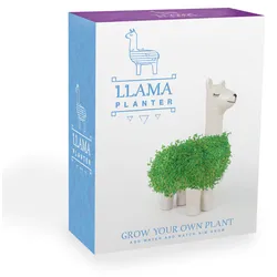 Gift Republic Green Lama