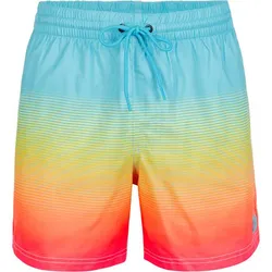 ONEILL Herren Badeshorts CALI GRADIENT 15 SWIM, Light Blue Simple Gradient, S