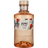 G'Vine June by G'Vine Wild Peach & Summer Fruits 0,7l