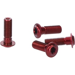 EXTRALITE Schrauben Set ExtraBolt 12.1 | M5x15 Flachkopf Aluminium | r