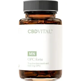 CBD Vital OPC Traubenkernextrakt Kapseln 60 St.