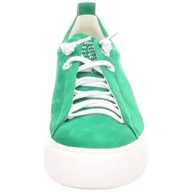 Paul Green 5017 green 38,5