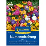 Blumensamen 'Last Minute', Alpenveilchen & Narzissen, rosa & gelb