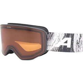 Alpina Venet Skibrille
