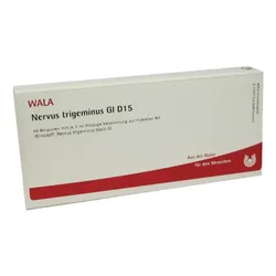 Nervus Trigeminus Gl D15 Ampullen